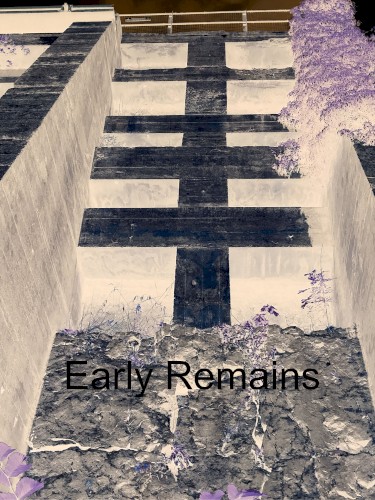 Early Remains