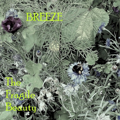 The Fragile Beauty