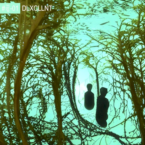 DLXCLLNT