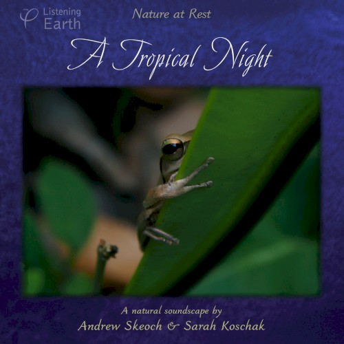 A Tropical Night