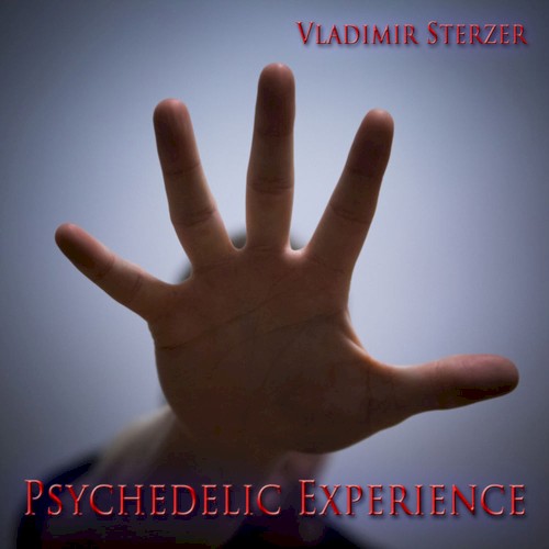 Psychedelic Experience