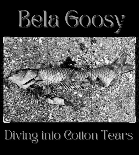Diving Into Cotton Tears