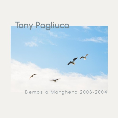 Demos a Marghera 2003–2004