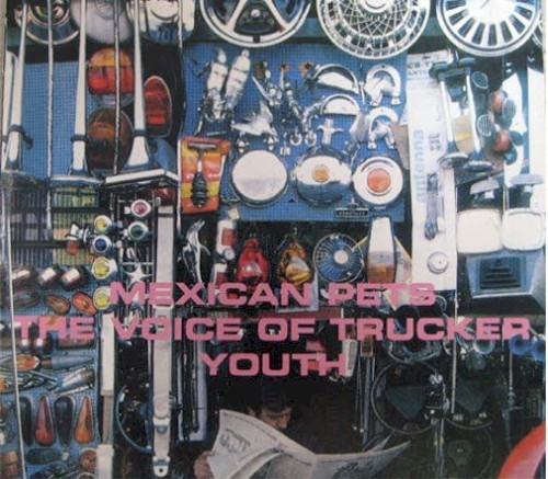 The Voice of Trucker Youth