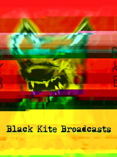 Black Kite Broadcasts