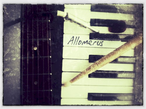 Allomerus