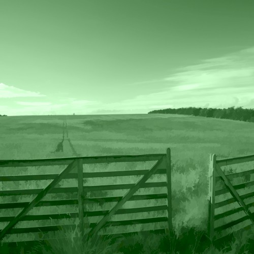 GREEN 19