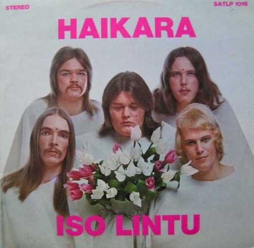 Iso lintu