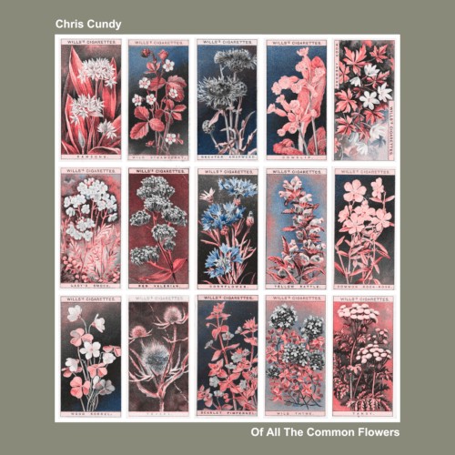 Of All The Common Flowers