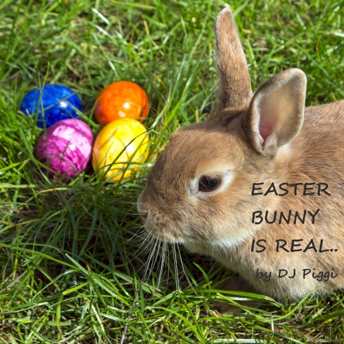 Easter Bunny Is Real