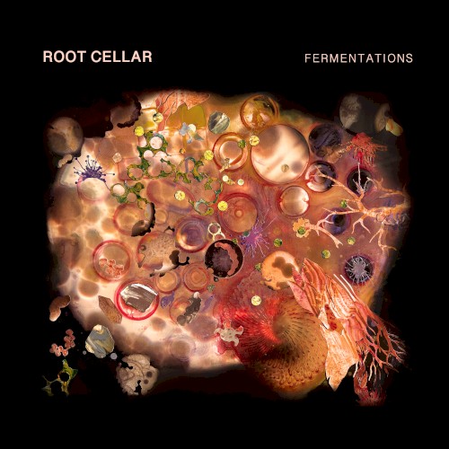 Fermentations
