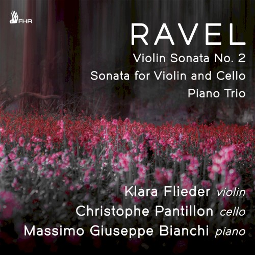 Violin Sonata no. 2 / Sonata for Violin and Cello / Piano Trio