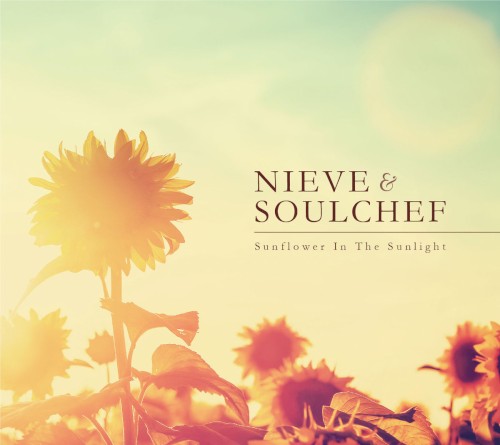 Sunflower In The Sunlight