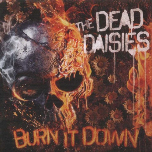 Burn It Down