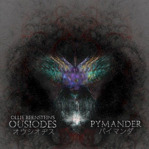 Pymander
