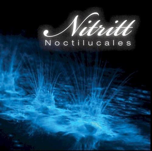 Noctilucales