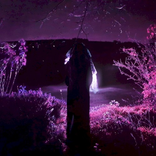 Entity