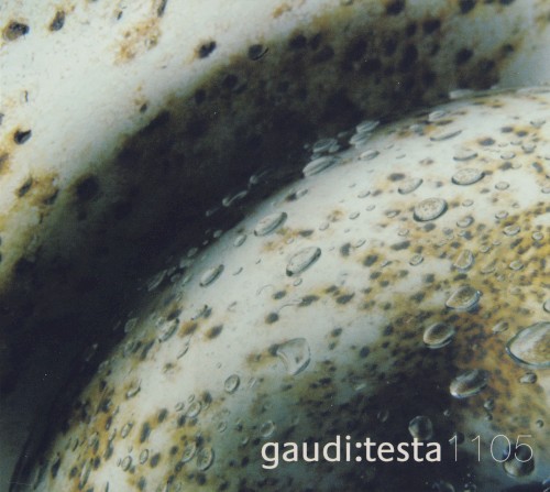 Gaudi:Testa 1105