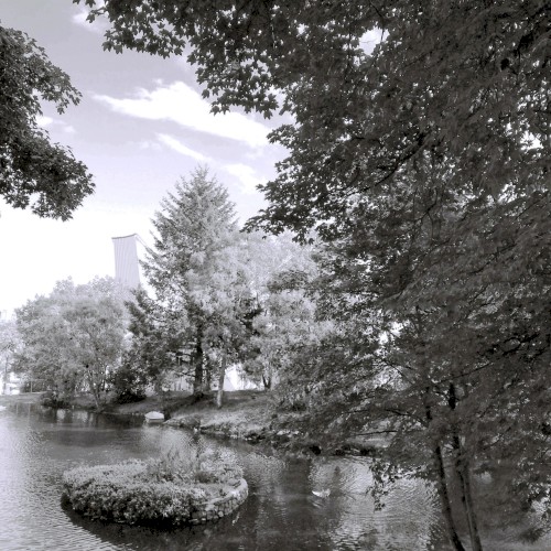 Byskogen