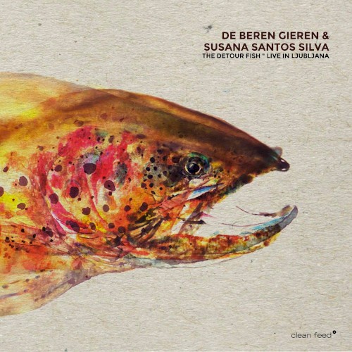 The Detour Fish (live in Ljubljana)