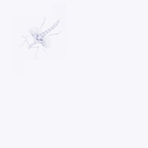 Entomologists