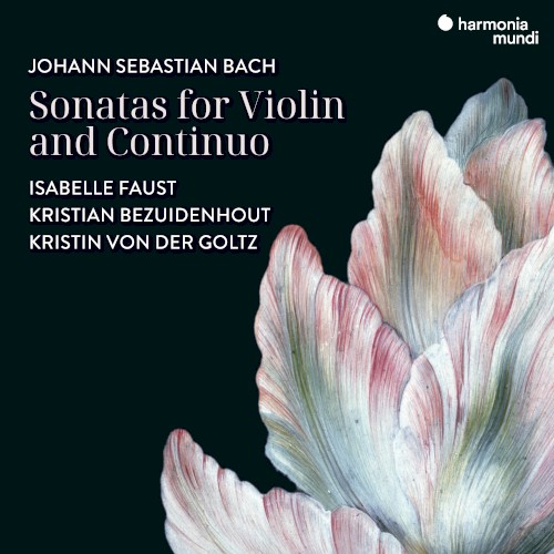 Sonatas for Violin and Continuo