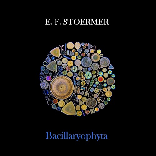 Bacillaryophyta