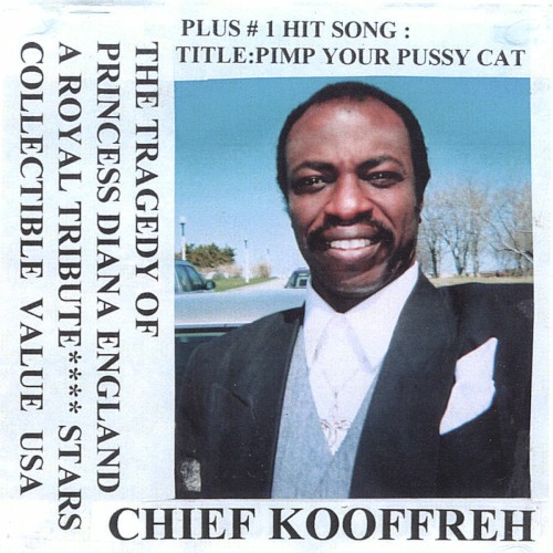 Pimp Your Pussy Cat