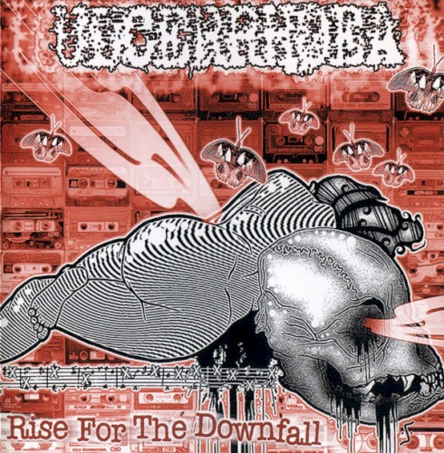 Rise for the Downfall