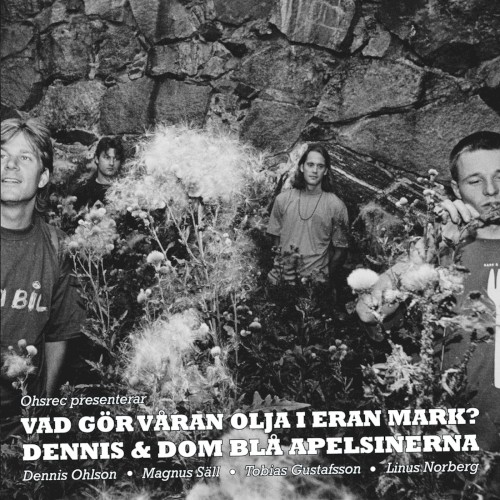 Vad gör våran olja i eran mark?