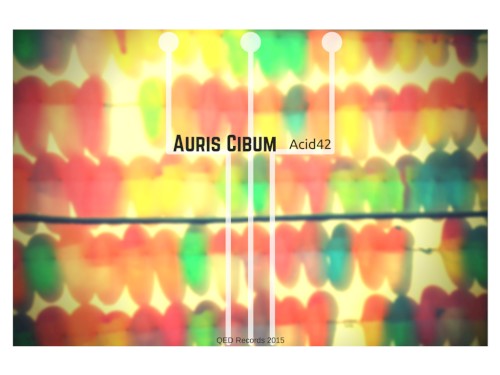Auris Cibum