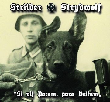 Si Vis Pacem, Para Bellum