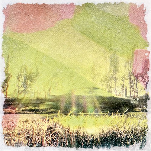 Rufus T. Firefly &ndash; Todas las cosas buenas