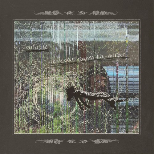 Dragged Through the Garden