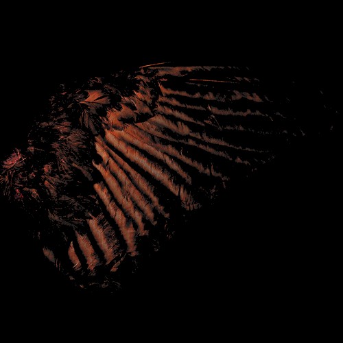 Incandescent