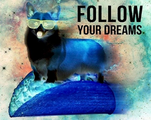 Follow Your Dreams
