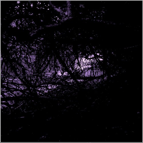 Untitled (2006)