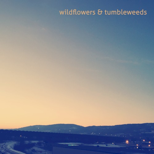 Wildflowers & Tumbleweeds