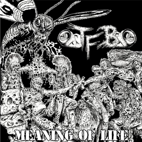 Meaning of Life