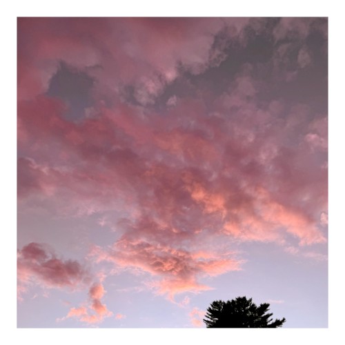 august.