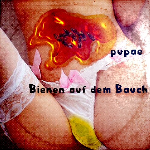 Bienen auf dem Bauch