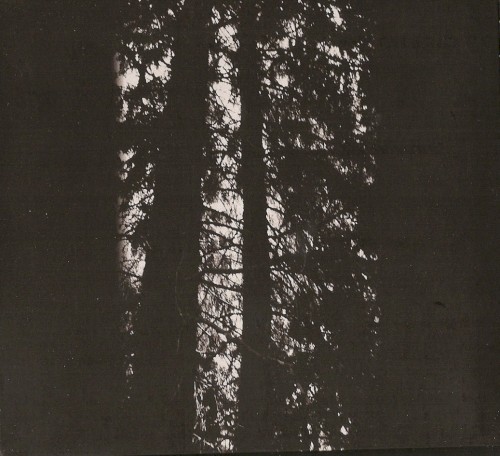 Elegia