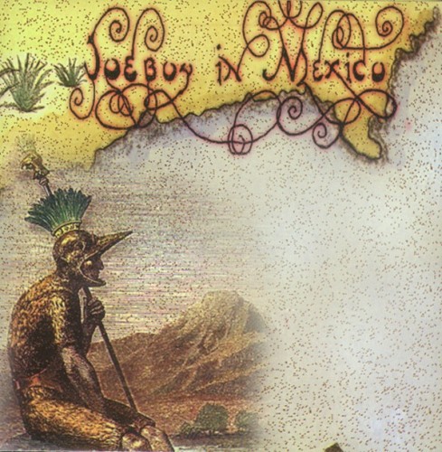 Joeboy in Mexico
