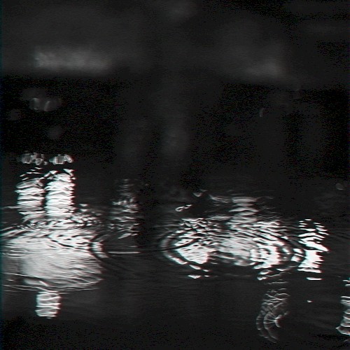 Rainfall