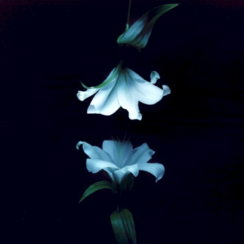 Nocturne