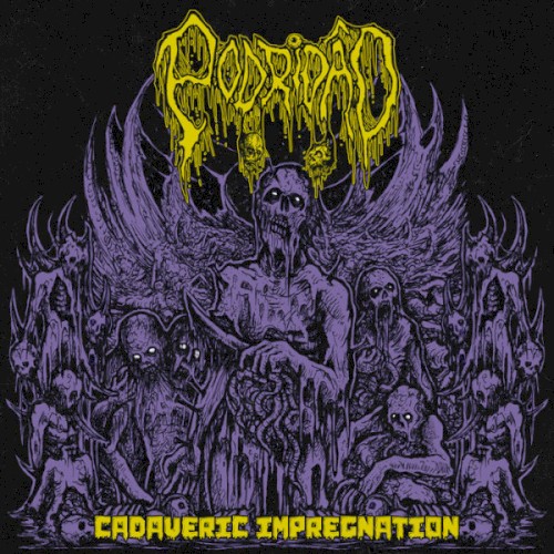 Cadaveric Impregnation