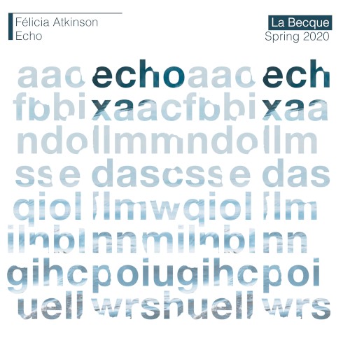 Echo