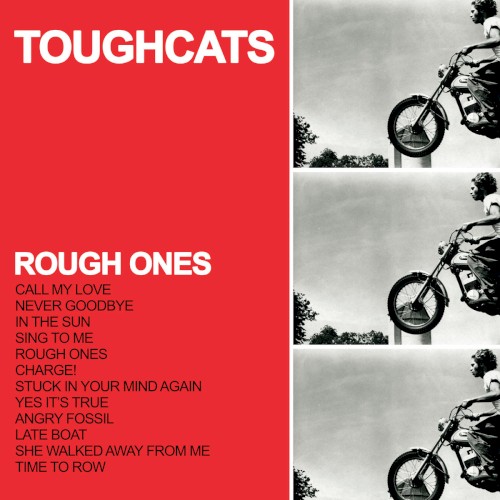 ROUGH ONES