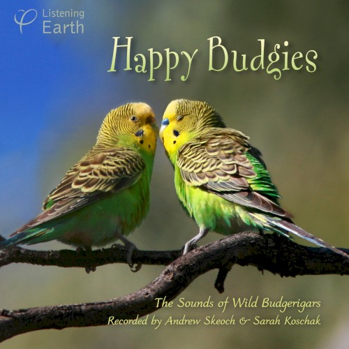 Happy Budgies - The Sounds of Wild Budgerigars