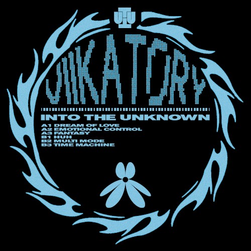 Into the Unknown